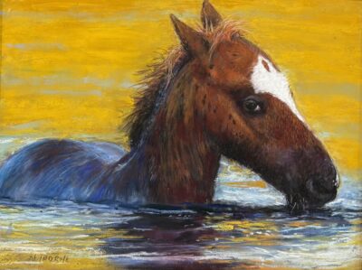 Salt River Foal by Nori Thorne