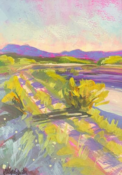 Sedona Wetlands Wonder by Jillian Sander