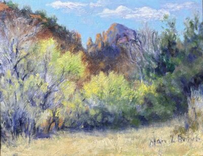 Spring Time Near the Creek by Mary Lois Brown