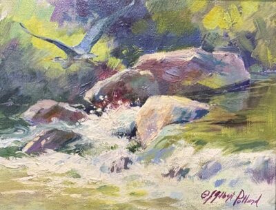 Sailing Down Oak Creek by Julie Gilbert Pollard