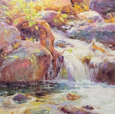 The Root and The Rush by Julie Gilbert Pollard