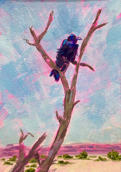 Wupatki Citadel Sentry by Jillian Sander