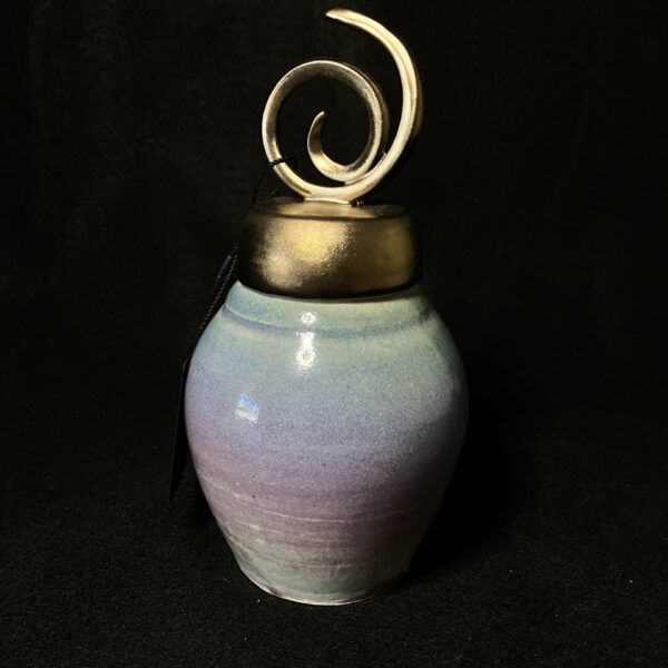 Medium Rainbow Wish Jar by Sharon Penchina