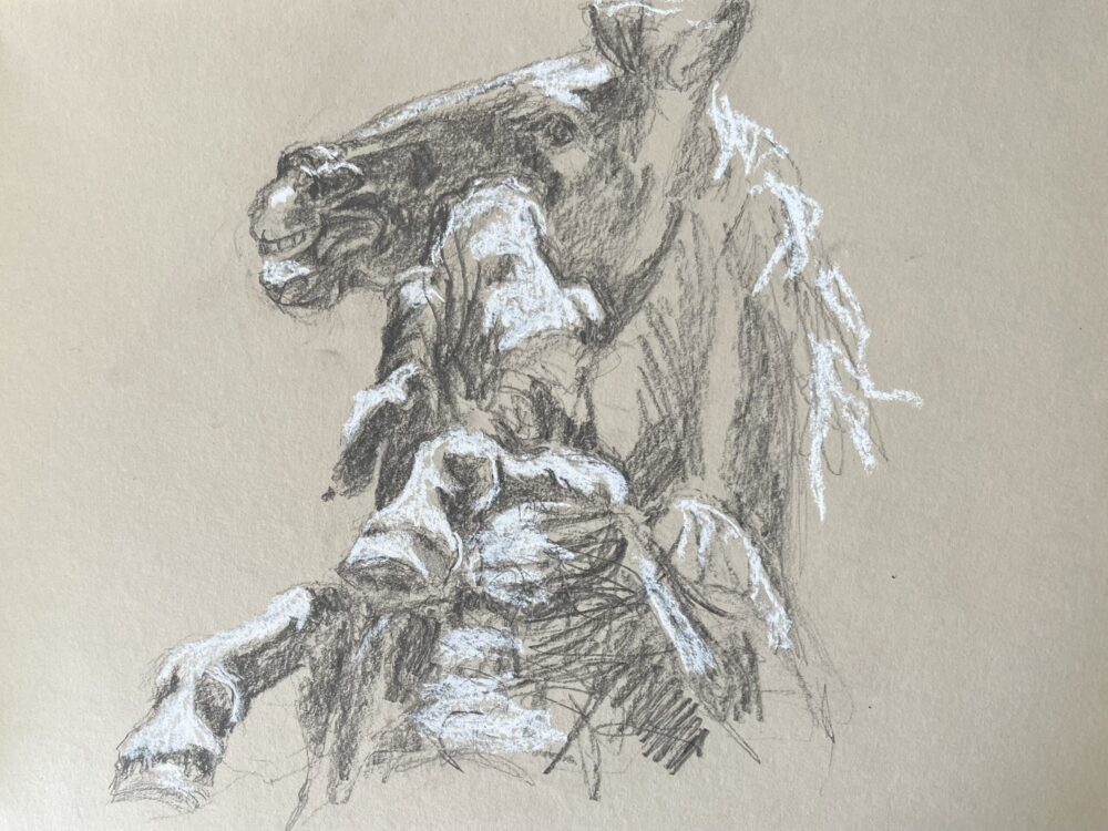 SHackett Form and Motion 2