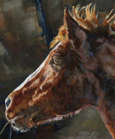 Personality of a Horse