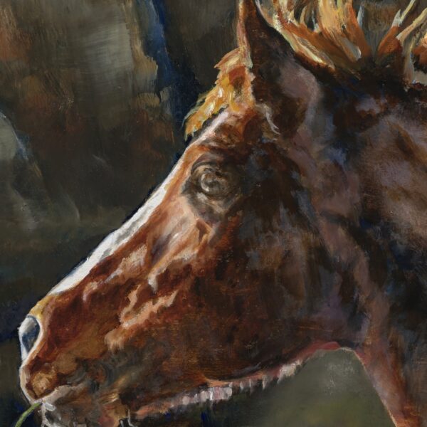 Personality of a Horse
