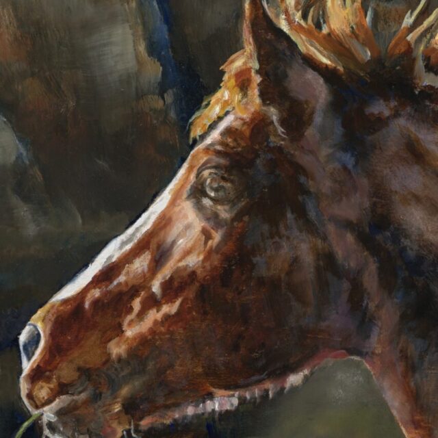 Personality of a Horse