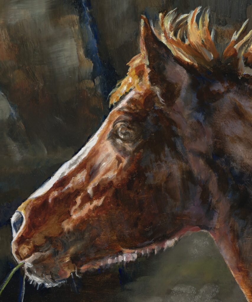 Personality of a Horse