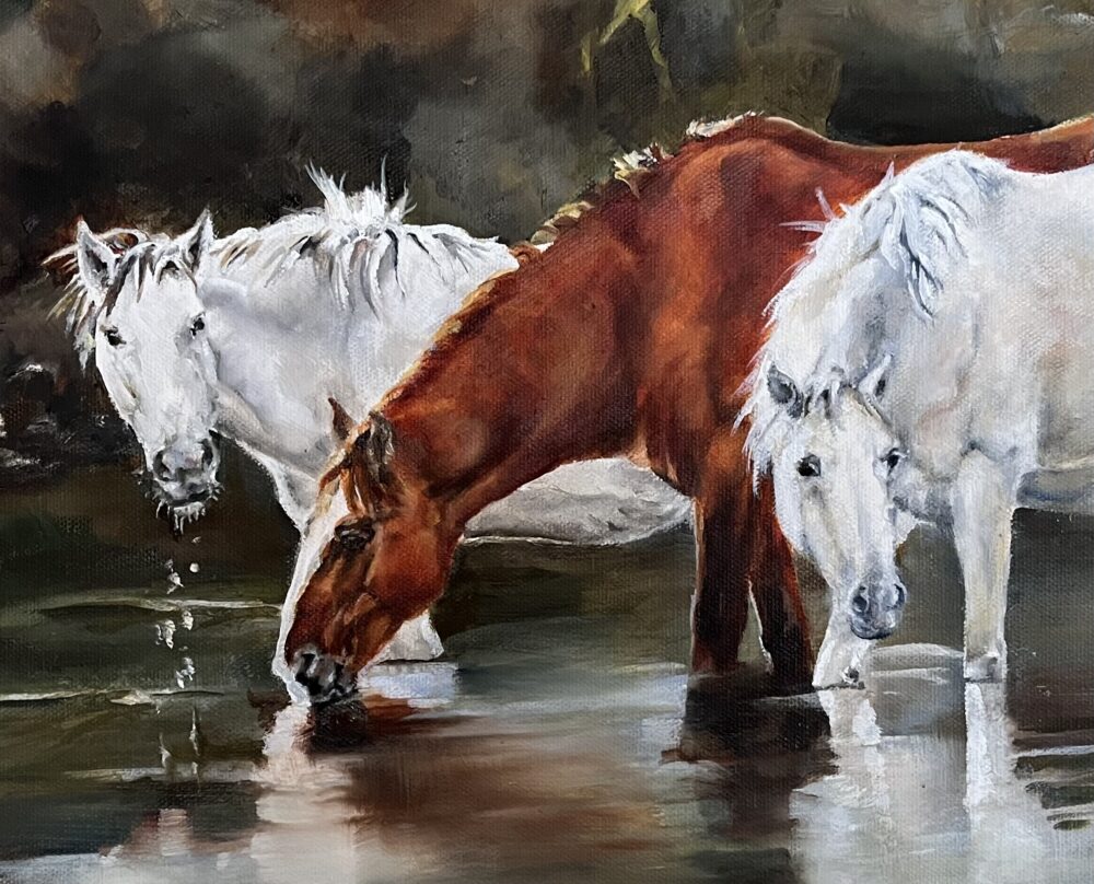 Shelly Hackett Personality of a Horse