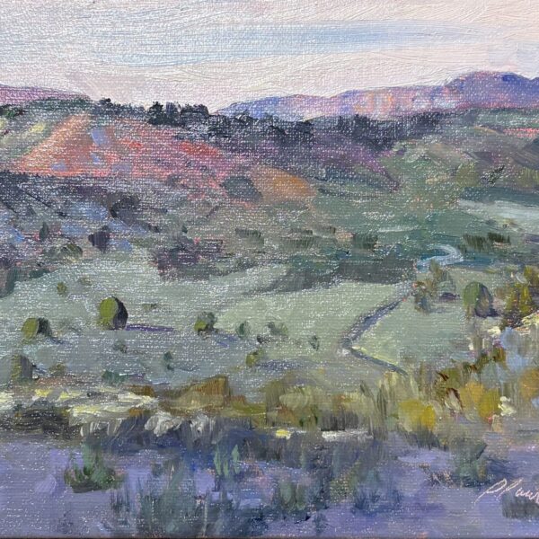 Distant High Desert View by Lili Laurin