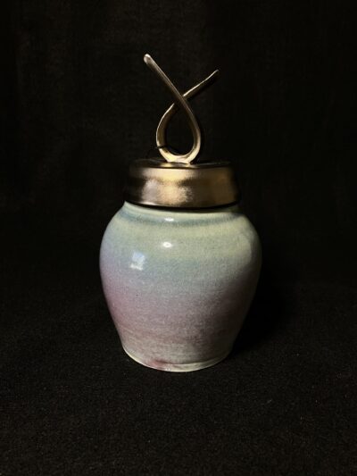 Small Rainbow Wish Jar by Sharon Penchina