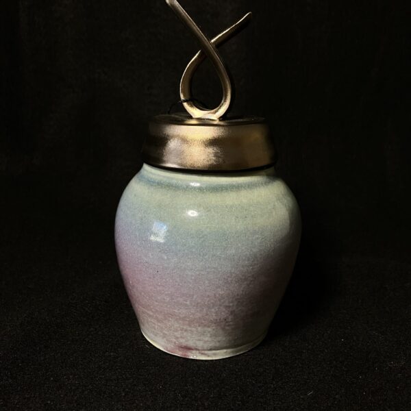 Small Rainbow Wish Jar by Sharon Penchina