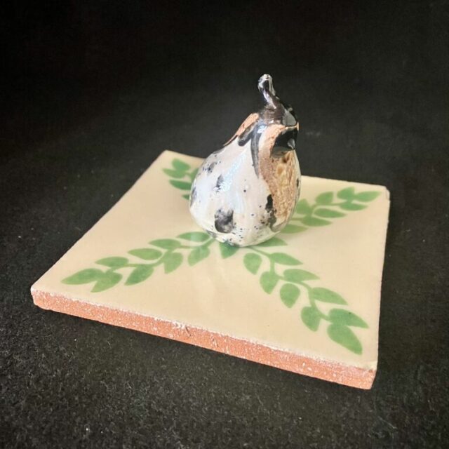 One Baby Quail by Miro FitzGerald