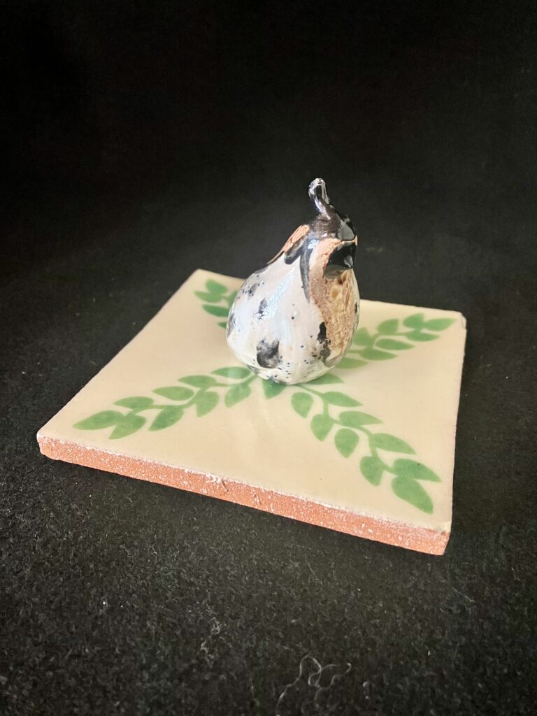 One Baby Quail by Miro FitzGerald