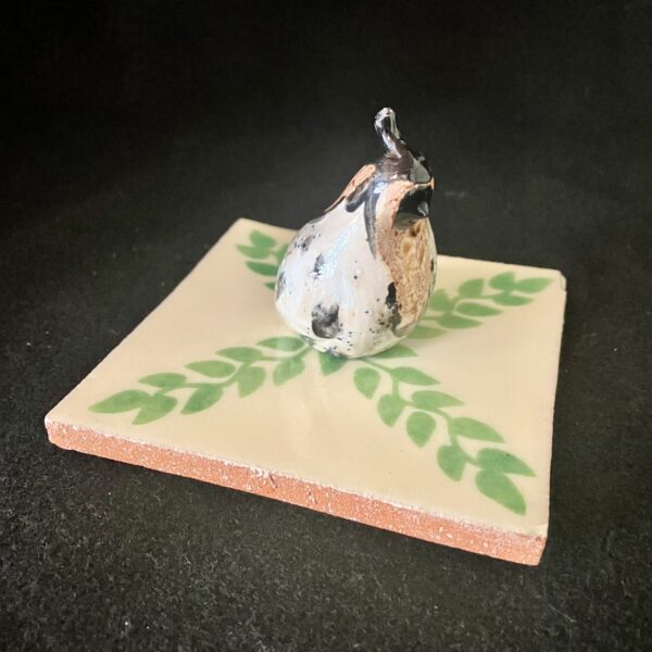 One Baby Quail by Miro FitzGerald