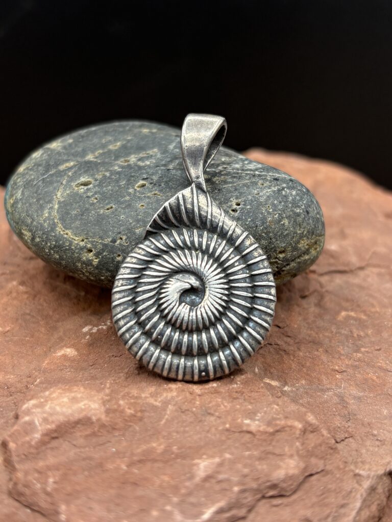 Spiral Shell by Kim Fox