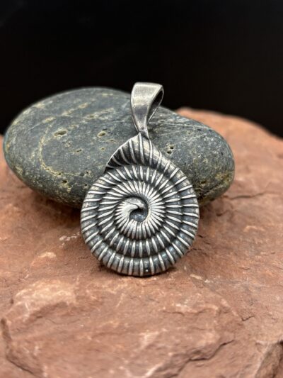 Spiral Shell by Kim Fox