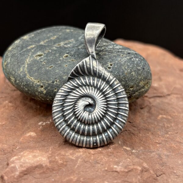Spiral Shell by Kim Fox