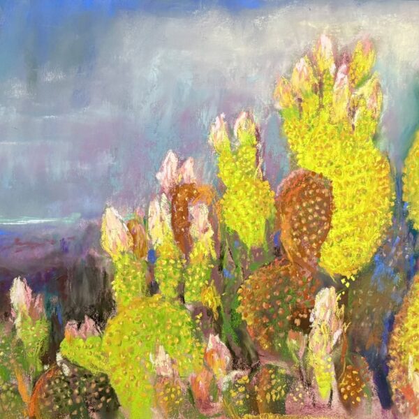 Tiny Dots Cactus by Nori Thorne