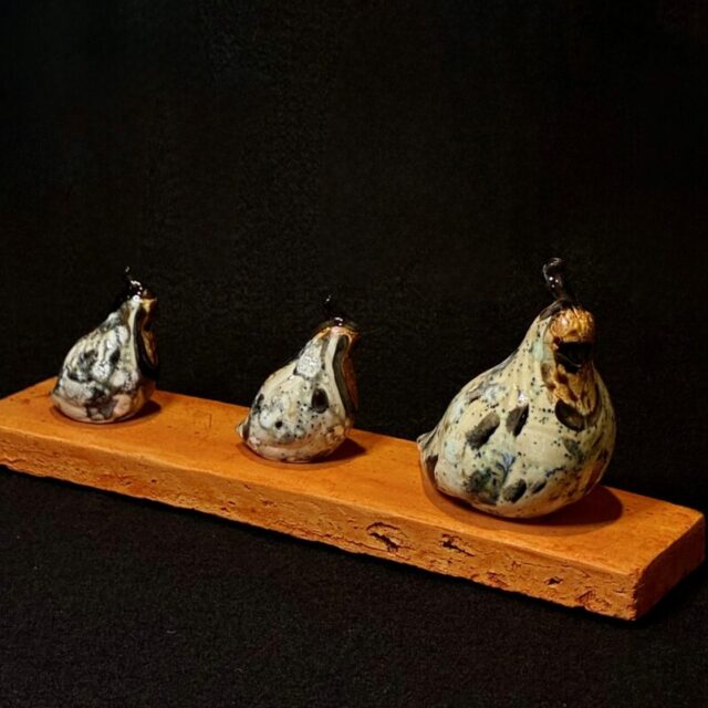 Long Tile Quails