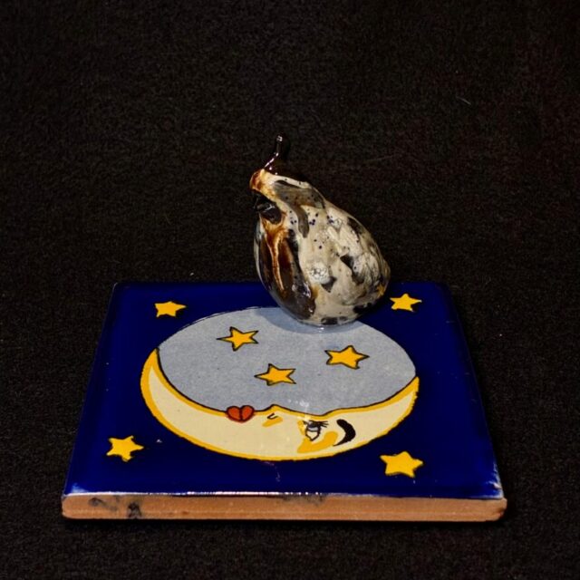 1 Baby on Mex Tile by Miro FitzGerald