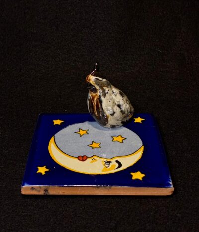 1 Baby on Mex Tile by Miro FitzGerald