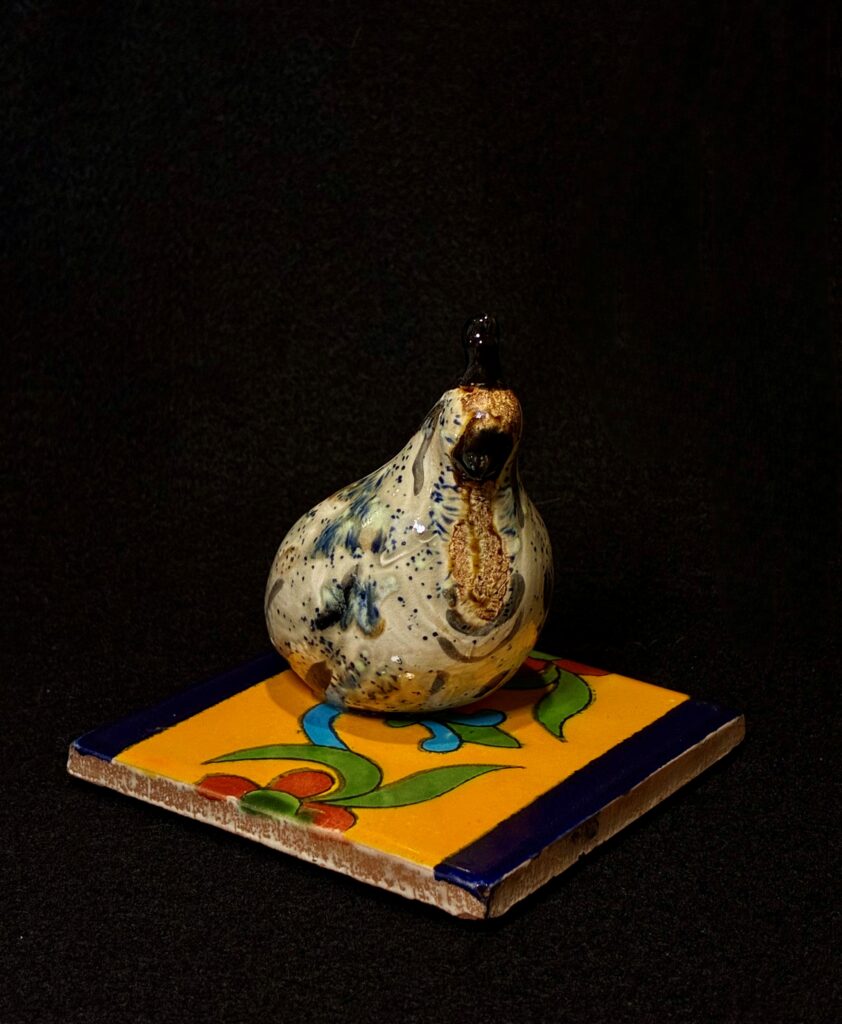 Adult Quail on Mex Tile by Miro FitzGerald