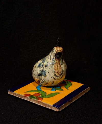 Adult Quail on Mex Tile by Miro FitzGerald