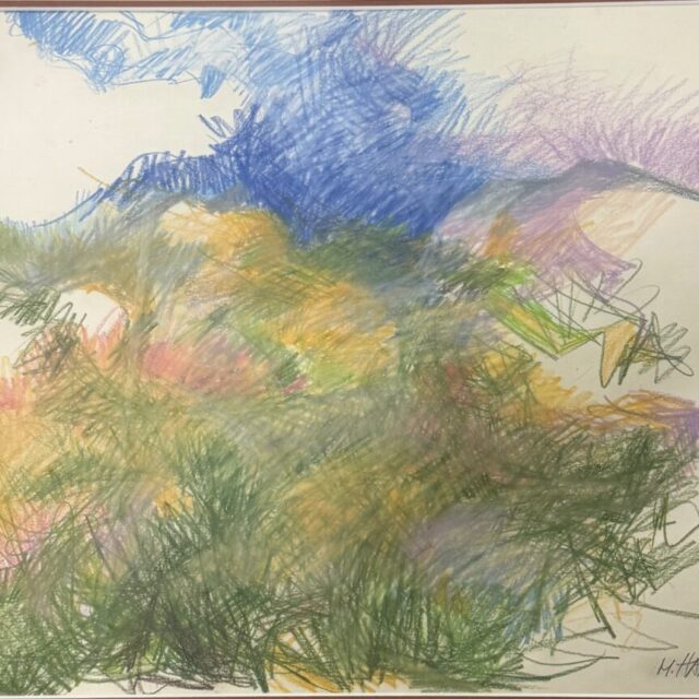 Arizona Desert by Myrna Harrison