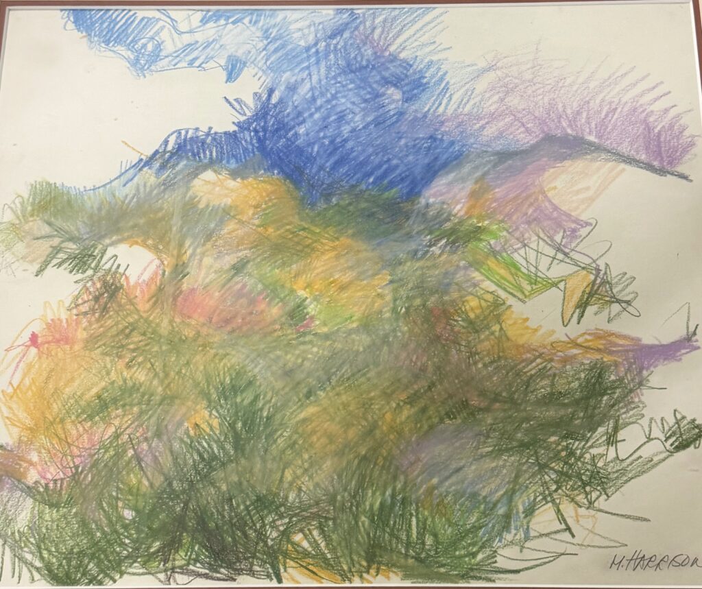 Arizona Desert by Myrna Harrison