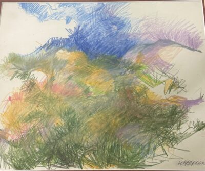 Arizona Desert by Myrna Harrison