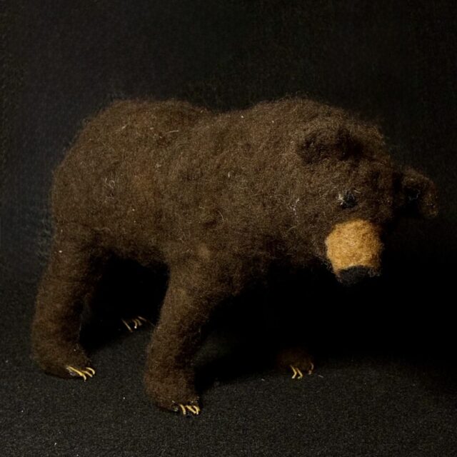 Black Bear by Laurie Cameron