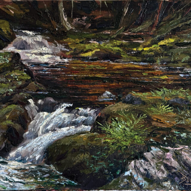 Carp River Falls by Ed Buonvecchio