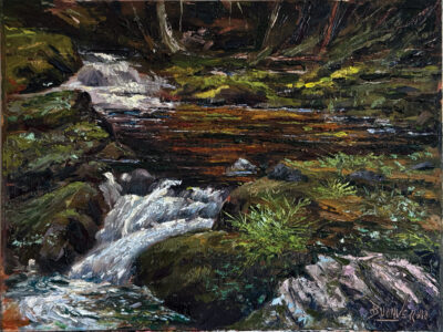Carp River Falls by Ed Buonvecchio