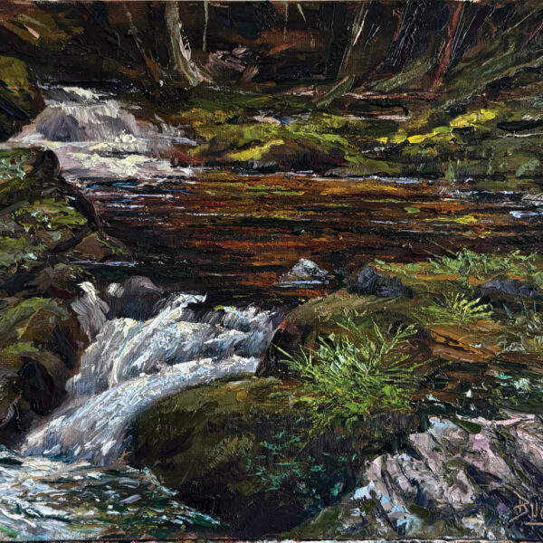 Carp River Falls by Ed Buonvecchio