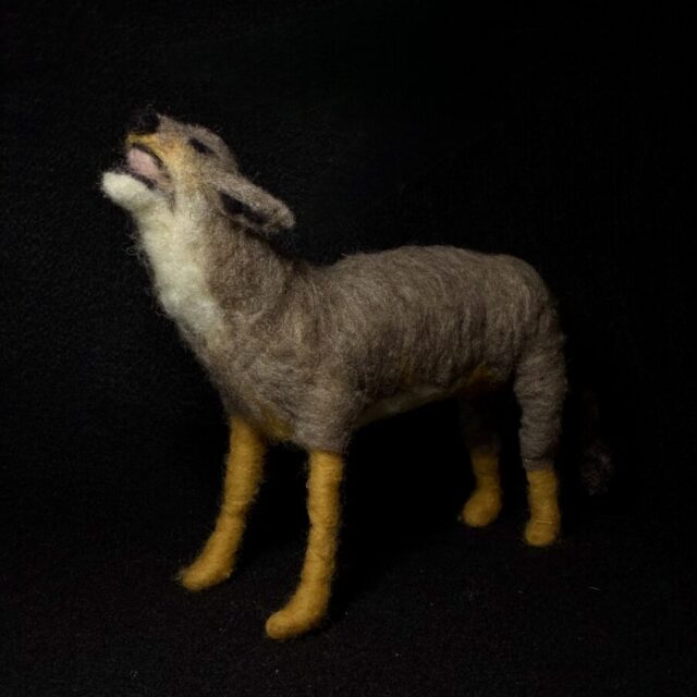 Coyote by Laurie Cameron