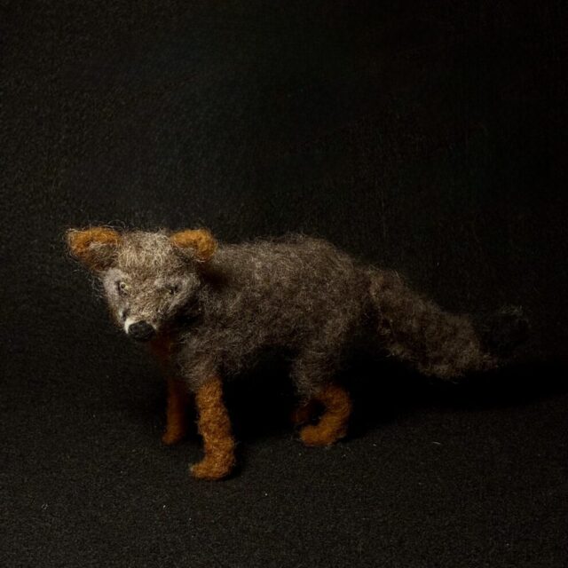 Fox by Laurie Cameron
