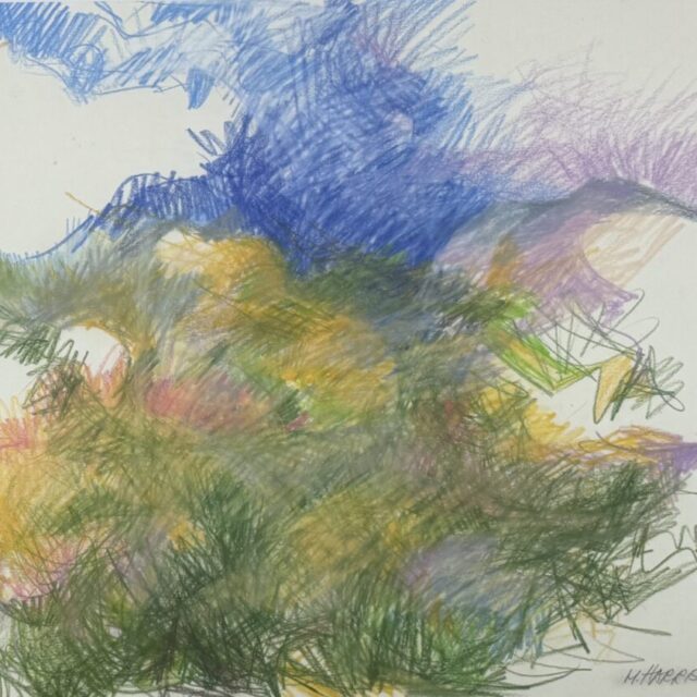 Arizona Desert by Myrna Harrison