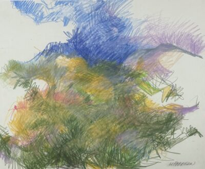 Arizona Desert by Myrna Harrison