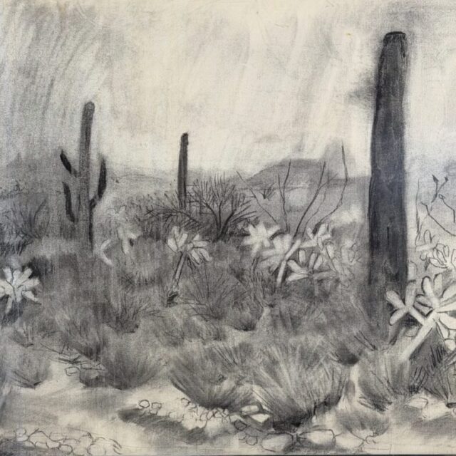 South Vulture Peak Road by Myrna Harrison