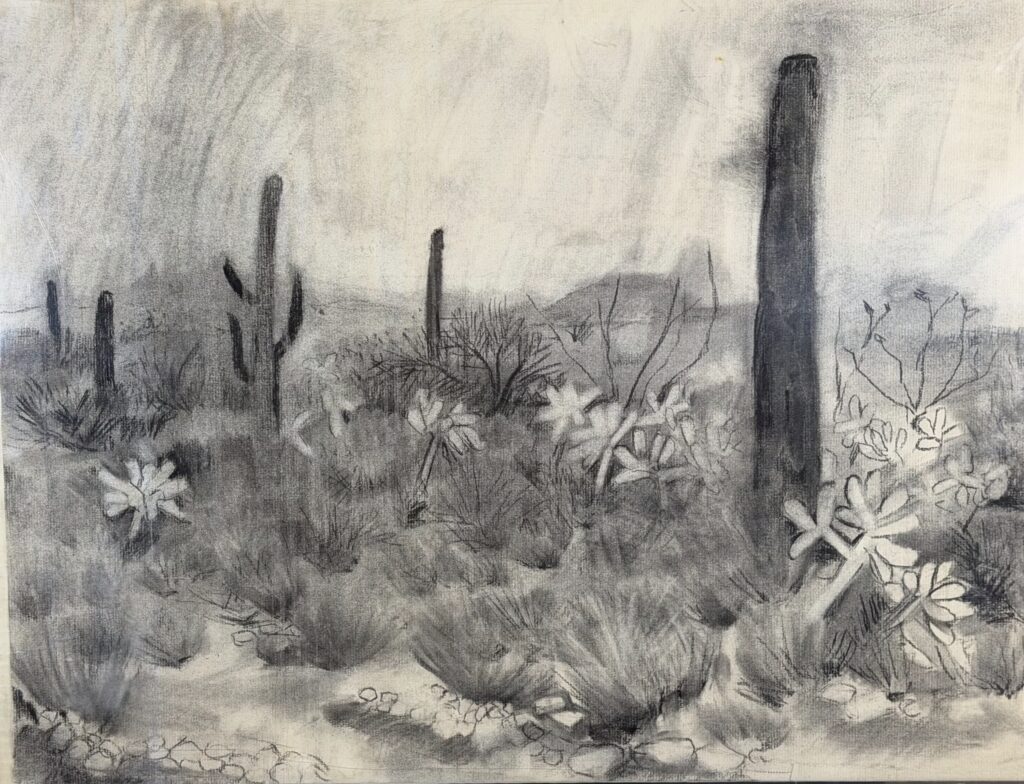 South Vulture Peak Road by Myrna Harrison