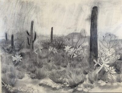 South Vulture Peak Road by Myrna Harrison