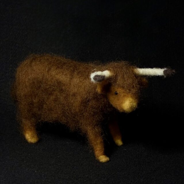 Highlander Cow by Laurie Cameron