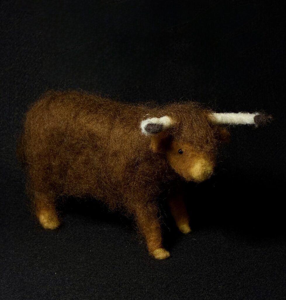 Highlander Cow by Laurie Cameron