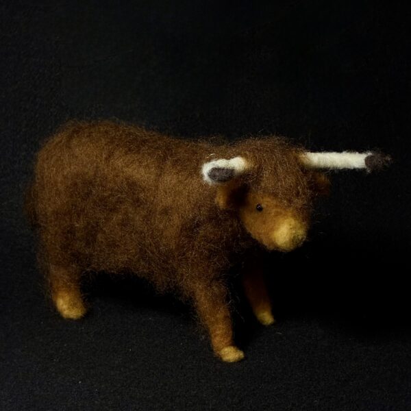 Highlander Cow by Laurie Cameron