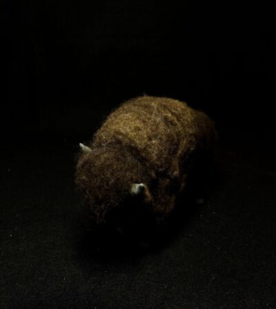 Bison by Laurie Cameron