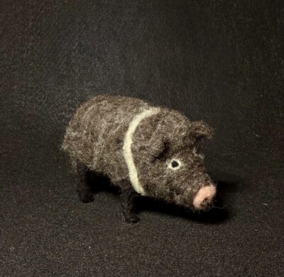 Javelina by Laurie Cameron
