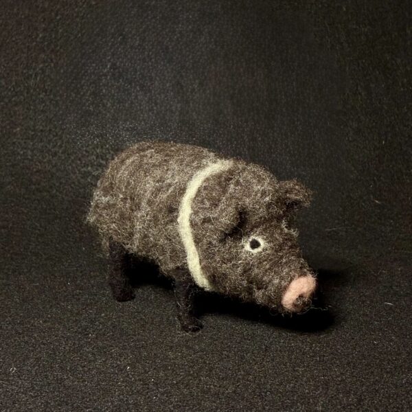 Javelina by Laurie Cameron