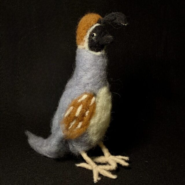 Quail by Laurie Cameron