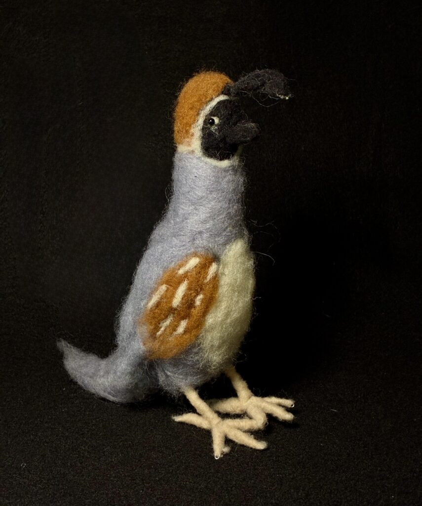 Quail by Laurie Cameron